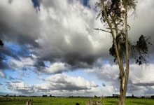 必赢：皇社官方抗议：可耻！裁判总是偏向曼联，那个点球完全不存在.