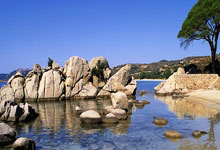 [图]英超-恩昆库、内托传射 切尔西4-0南安普顿.